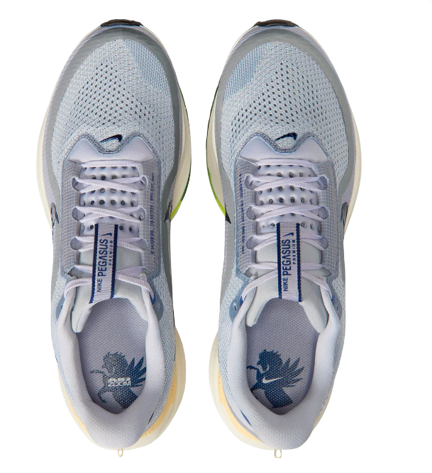 Nike Pegasus Premium Men's Running Shoes – Light Grey